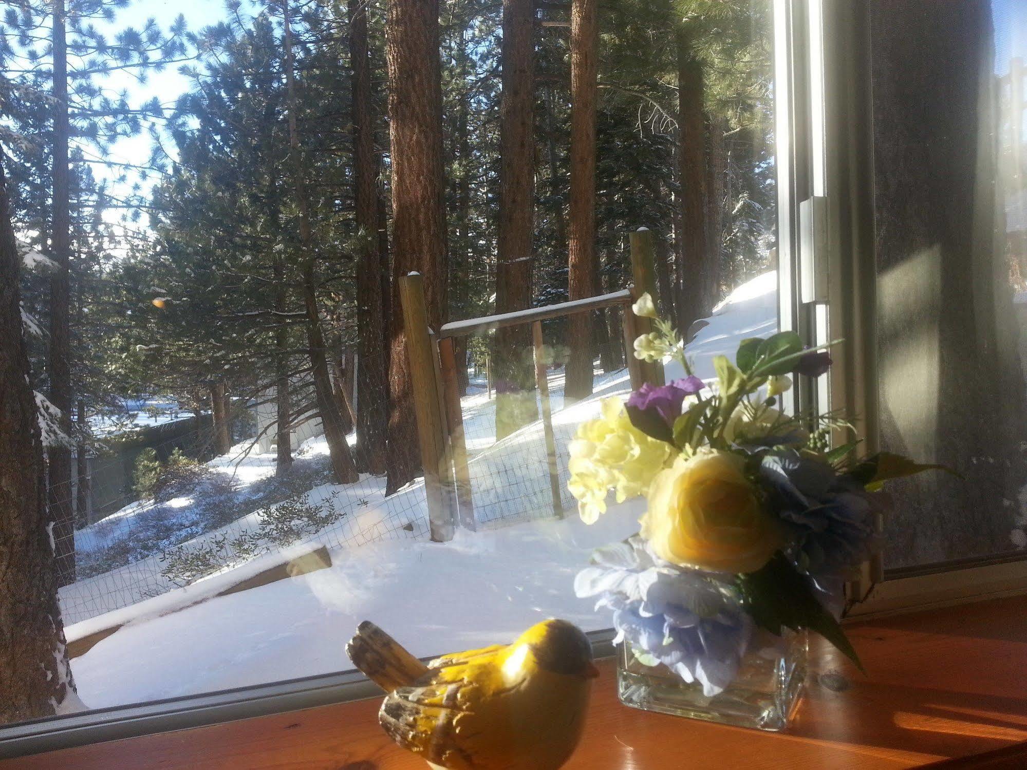 Innsbruck Lodge Mammoth Lakes Eksteriør billede