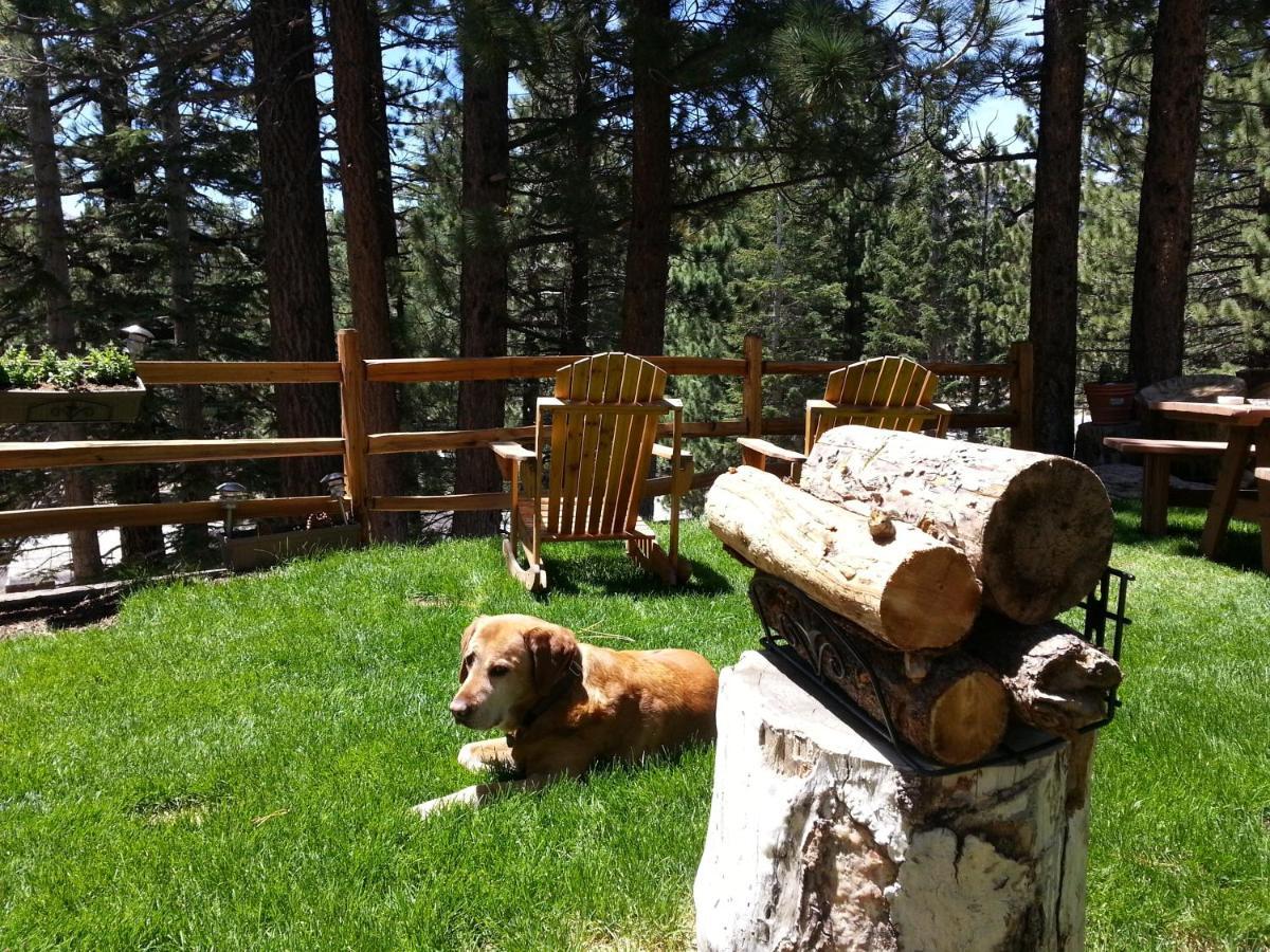 Innsbruck Lodge Mammoth Lakes Eksteriør billede